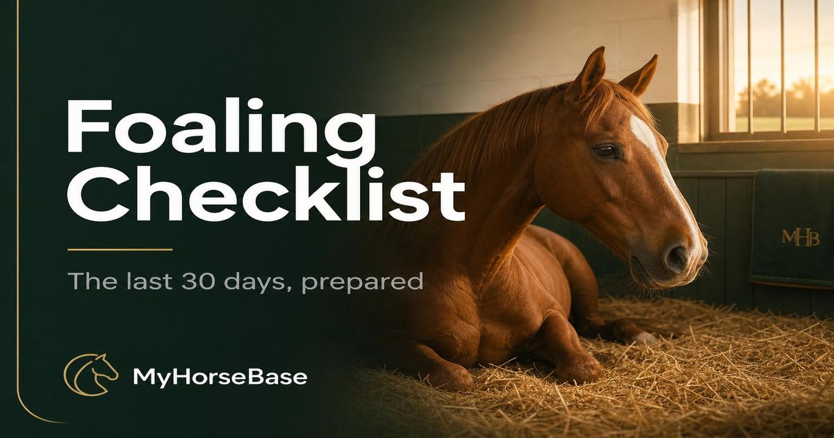 The Complete Foaling Checklist: What to Prepare in the Last 30 Days — MyHorseBase guide
